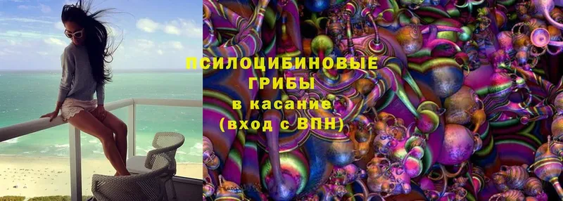 гидра как зайти  Борзя  Псилоцибиновые грибы Magic Shrooms 